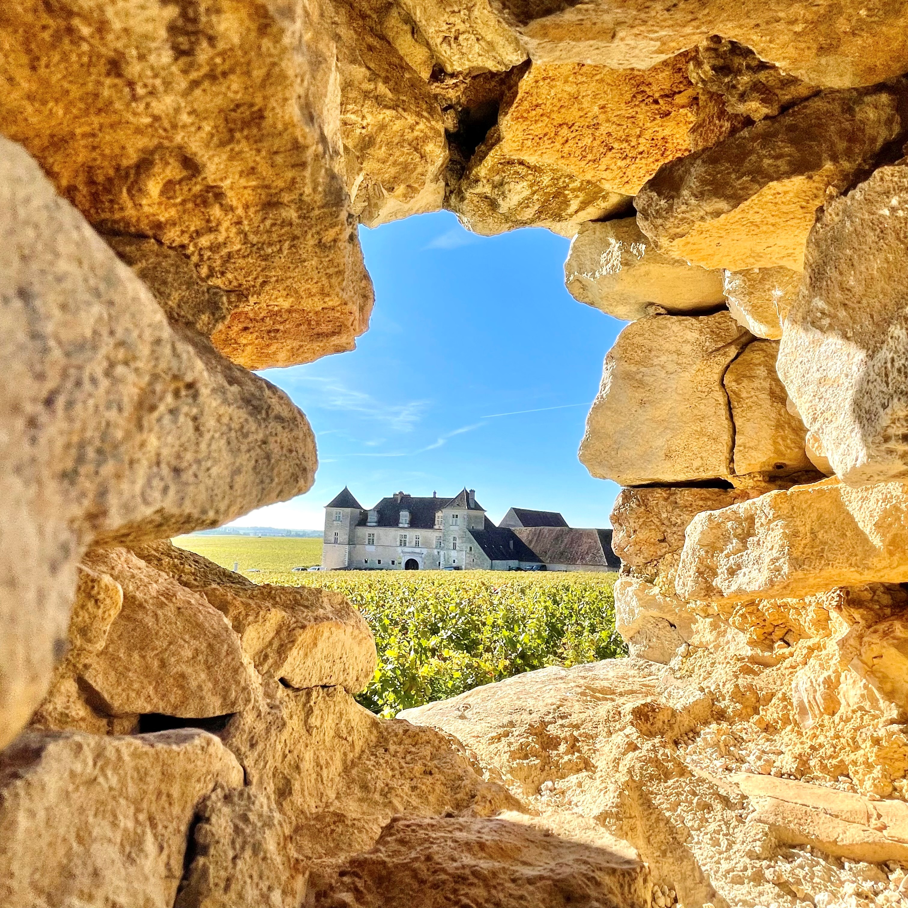 Pierres du Clos Vougeot